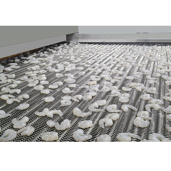 网带隧道冻结装置