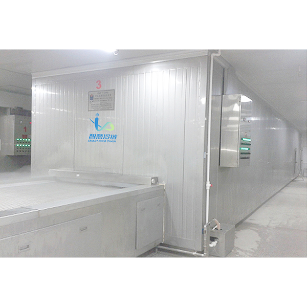 网带隧道冻结装置